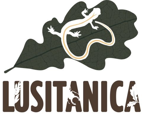 Logo Projeto Lusitanica