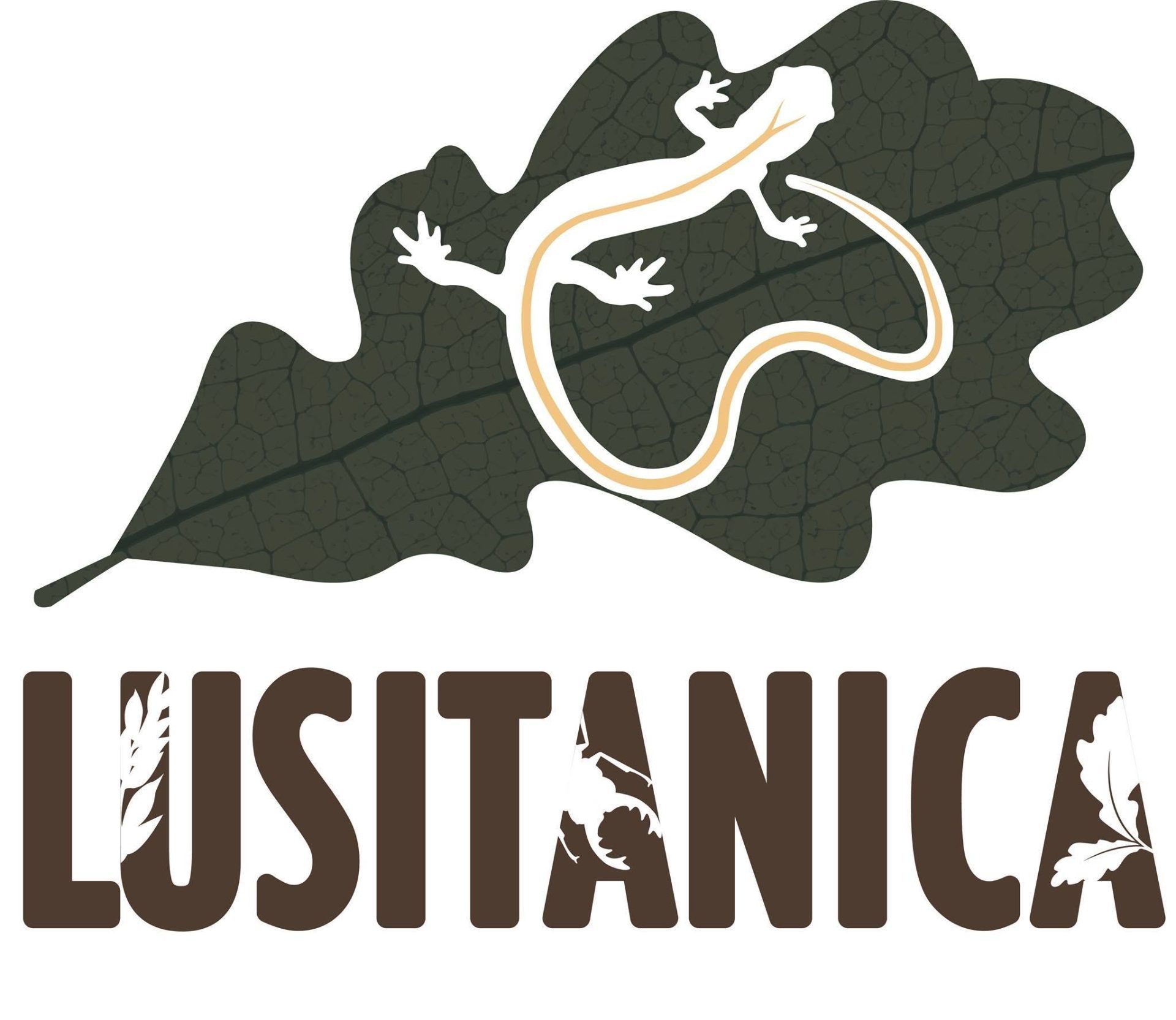 Logo Projeto Lusitanica